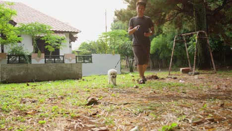 retrato de un hombre con un perro caniche de juguete camina en el parque durante la madrugada