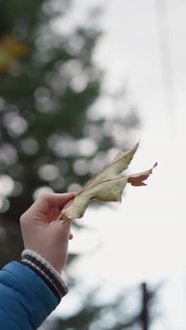 primer plano de la mano sosteniendo una hoja oxidada seca, girándola pensativamente, observando detalles intrincados con un fondo borroso de vegetación vibrante y la luz del sol filtrándose a través de las hojas