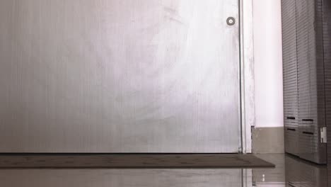 close up of beagle being taken for a walk, through wooden door and metal gate