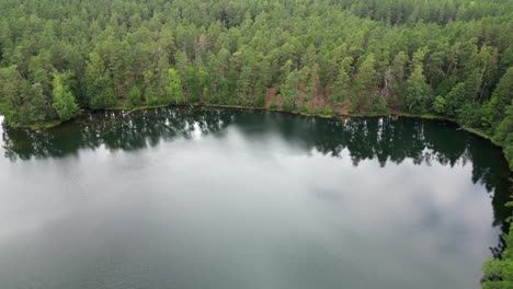 aerial rotates over green boreal forest lakeshore, cold dark water