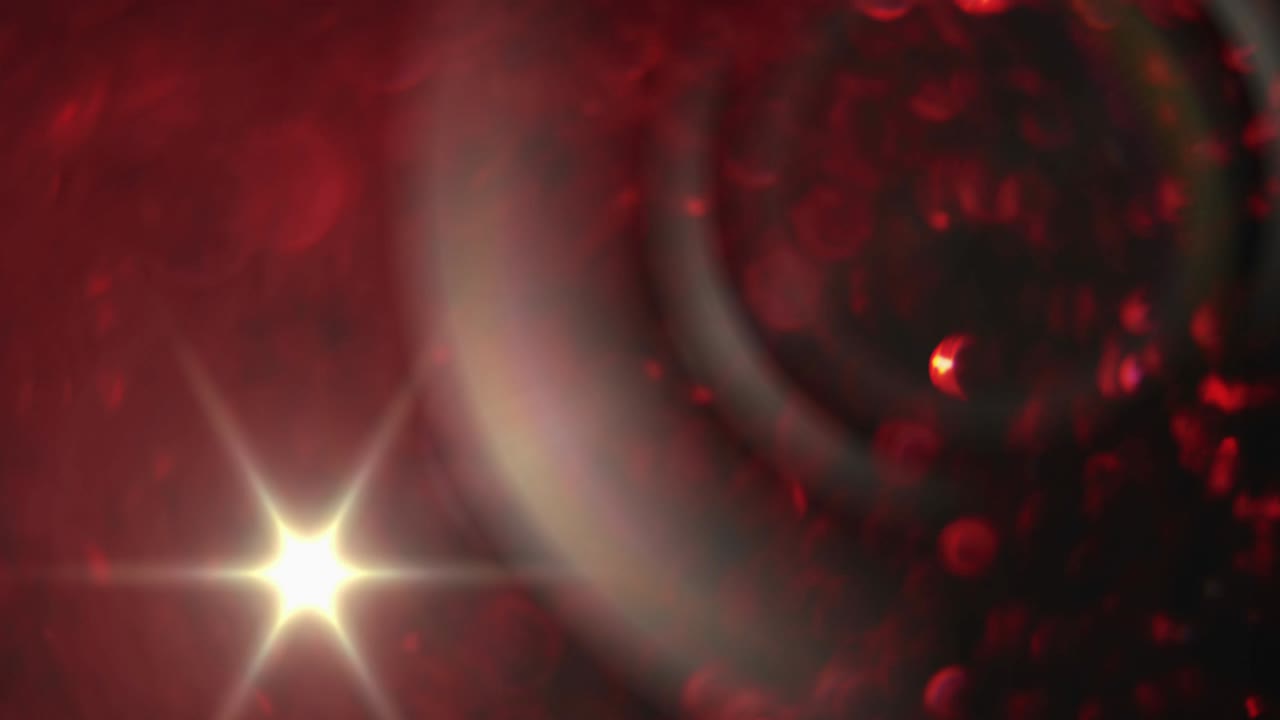 mancha de luz que se mueve contra las formas de pétalos de rosa roja sobre fondo negro