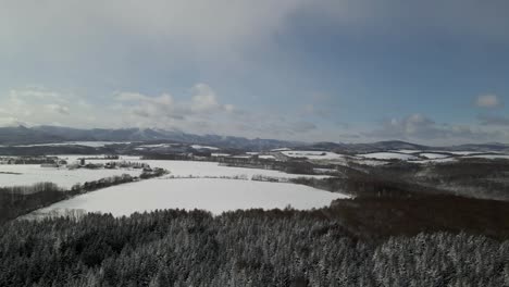 disparo de drones volando sobre campos y bosques cubiertos de nieve en hokkaido, japón