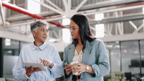 business, tablet and senior woman with employee