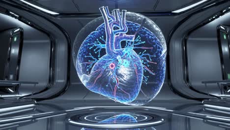 3d holographic heart anatomy visualization