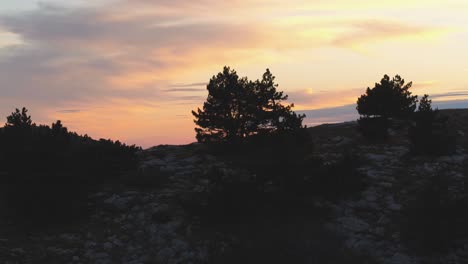 puesta de sol sobre la cresta de la montaña rocosa con pinos