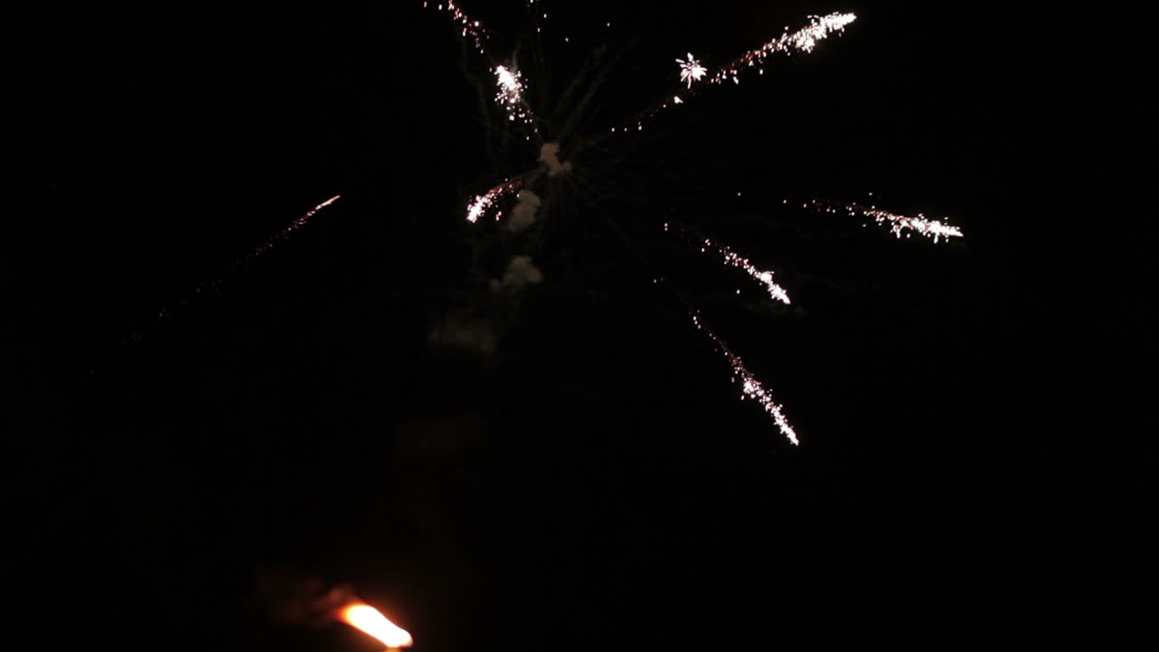 Fuochi d'artificio nel cielo scuro