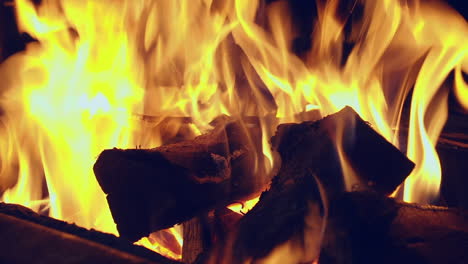 Hot-orange-flames-blaze-in-dark-night-campfire,-full-frame-close-up