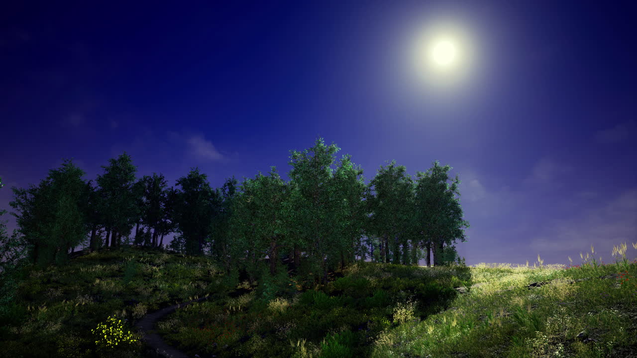 Chiaro di luna che illumina un sereno paesaggio boschivo al crepuscolo