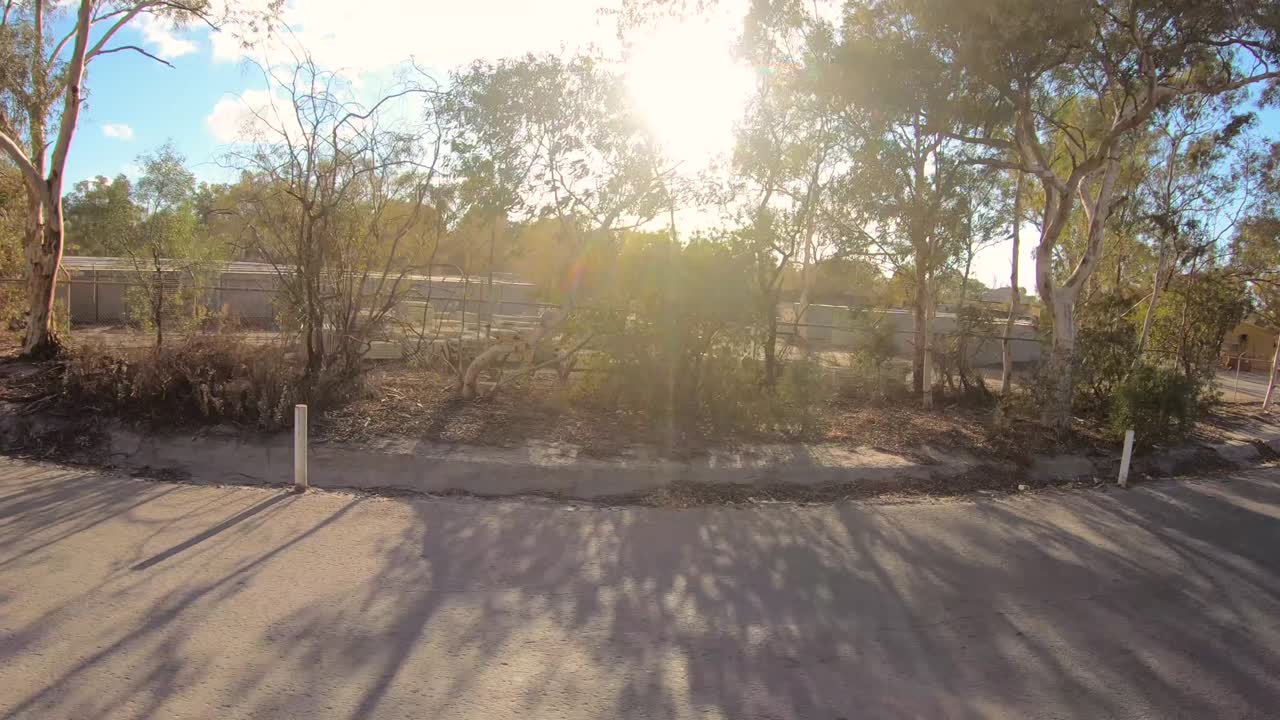 Driving as sunlight comes through the tress