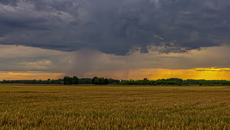 Timelapse-Con-Nubes-Pasando-Al-Atardecer-Sobre-Campo-De-Trigo-Marrón