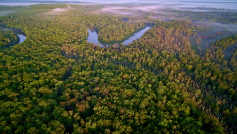 drone shot flying over foggy forest to reveal wild manistee river in the distance