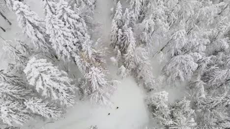 Two-persons-on-ski's-on-a-white-ski-empty-slope-caused-by-covid-in-Slovenia-during-a-lockdown