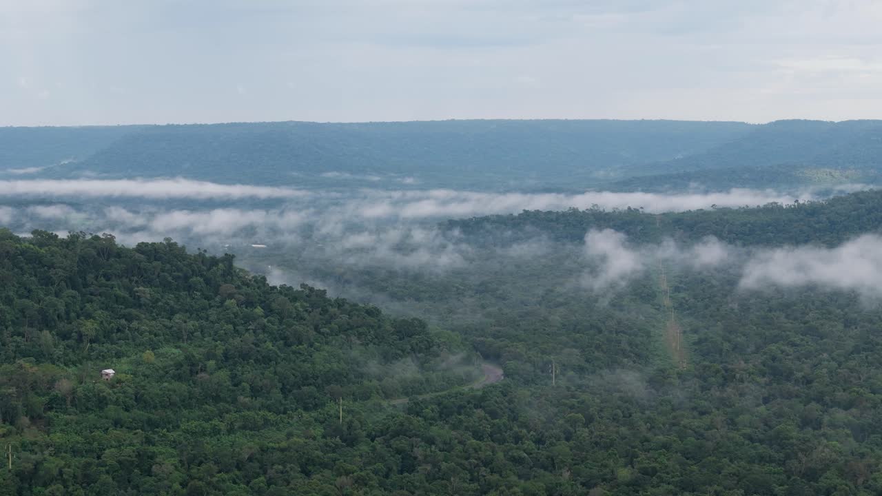 la niebla se desvía a través de un paisaje boscoso exuberante