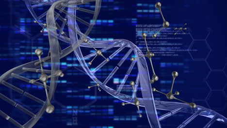 animation of dna strands spinning over data processing