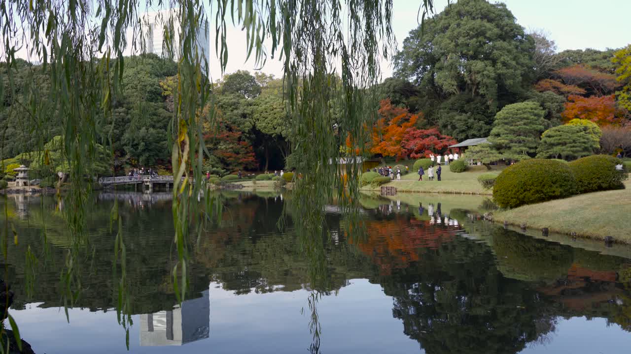 Shinjuku Gyoen Japanese Garden In Tokyo A Tranquil Oasis In The City - wide shot