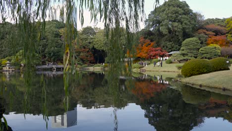 shinjuku gyoen japanese garden in tokyo a tranquil oasis in the city - wide shot