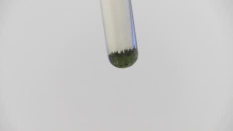 tubo de ensayo con algas cianobacterias verdes retenidas ante una pared blanca
