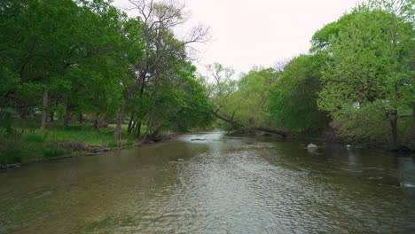 current in a creek with a fallen tree