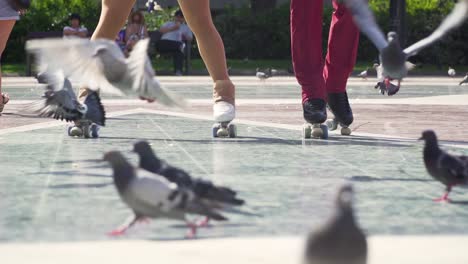 Close-up-of-Roller-skaters-passing-by-a-flock-of-pigeons-as-they-take-flight-in-slow-motion