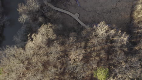 Volando-Sobre-árboles-Muertos-Y-Paisajes-Destruidos-Por-Un-Río-Tóxico-Y-Contaminado---Vista-Directa-Hacia-Abajo