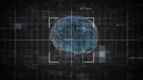 animation of data processing and scopes scanning over brain