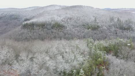 4K-Baumwipfel-Und-Schnee-Aus-Der-Luft