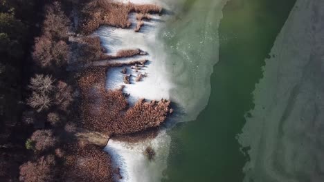 Aerial-landscape-descending-and-panning-shot-of-barely-frozen-lake-with-reeds,-Szűcsi,-Hungary,-Europe