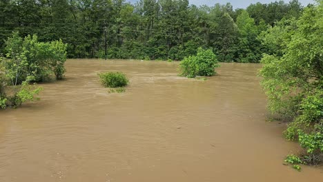este es un video de un gran río, que ha inundado sus orillas, causando inundaciones en los campos cercanos