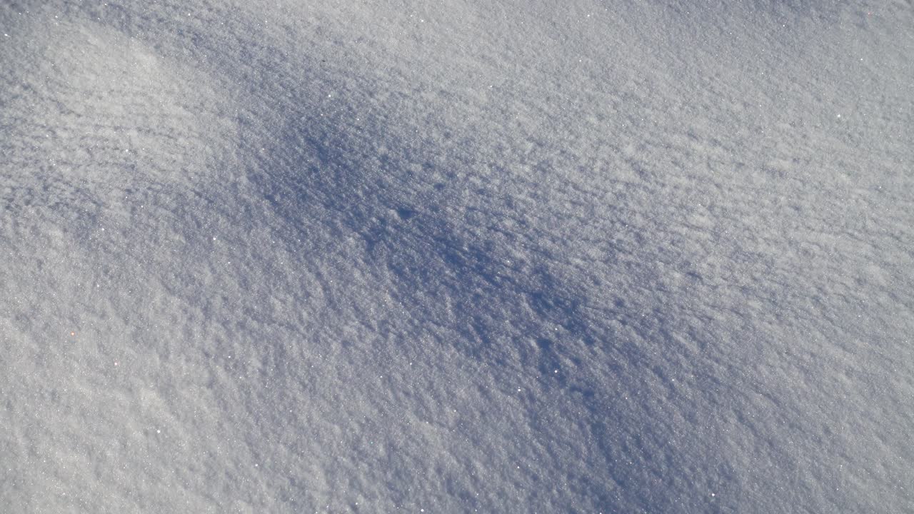 Snow shooting, in the winter. Background in the form of snow