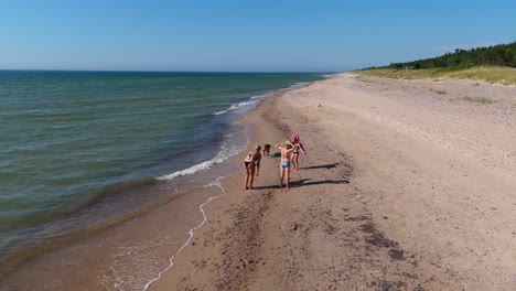 aerial footage of woman in bikini playing with vizsla dog on baltic sea shoreline joyful summer scene on a sunny day captured by drone on scenic latvian coast
