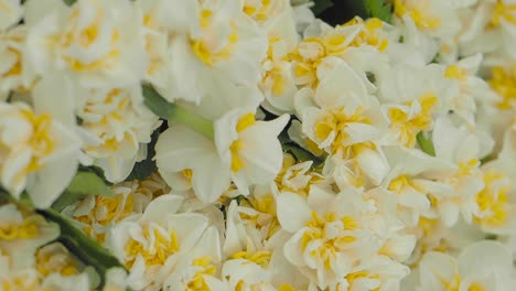 close-up of a bouquet of white and yellow daffodils