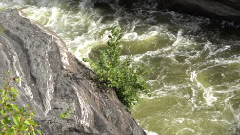 Schmutziges-Grünes-Wasser-Vom-Wasserfall