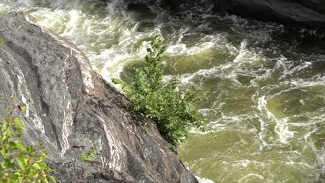 agua verde sucia de la cascada
