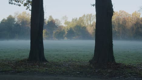 Un-Pájaro-Vuela-Durante-Una-Mañana-Fría-Y-Nublada-En-El-Parque-De-Monza,-En-Italia,-Durante-El-Otoño,-Justo-Antes-Del-Amanecer-En-Un-Escenario-Simétrico