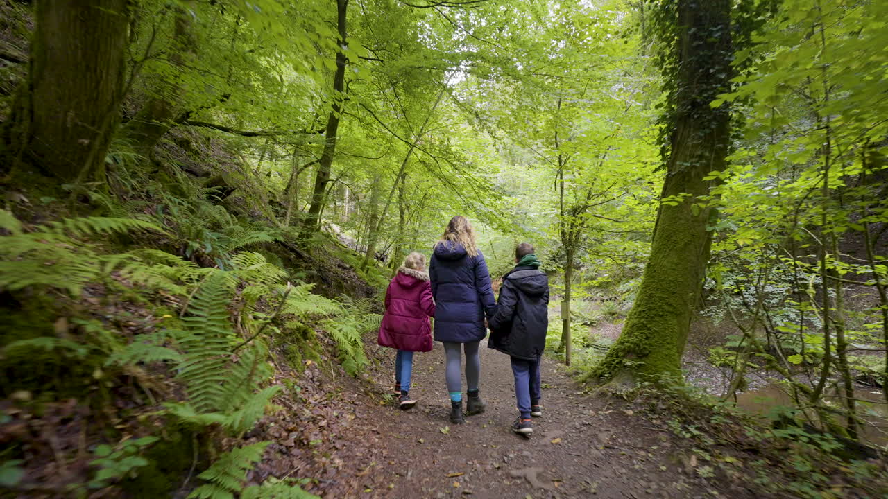 una caminata familiar en un bosque
