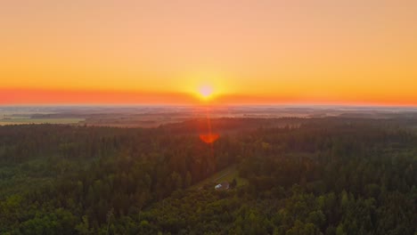 aerial look up shot of a forest swinging up the camera to a golden sunrise moment, summer in germany.