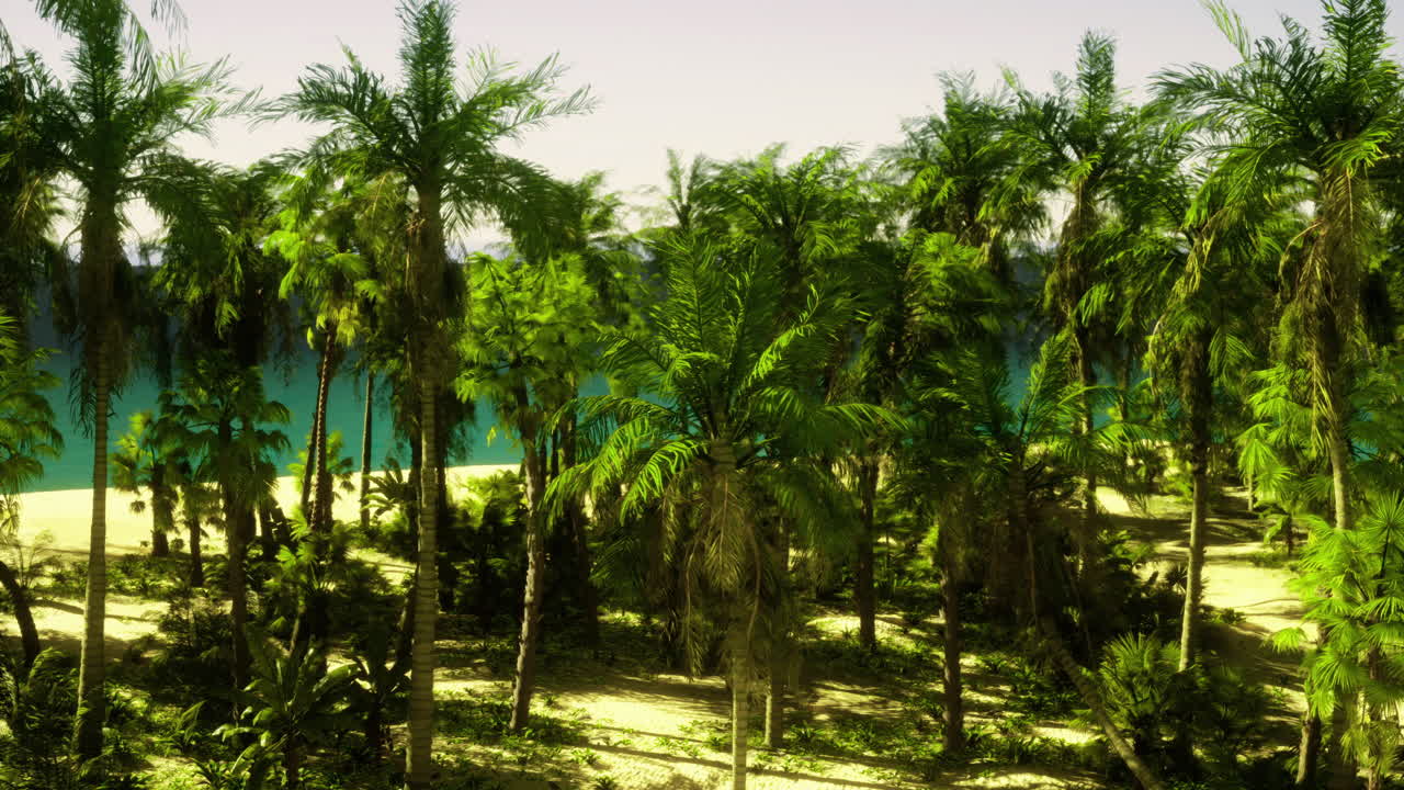 playa tropical con palmeras