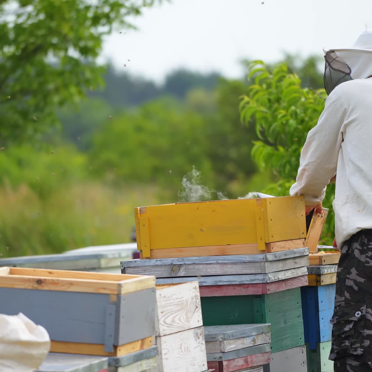 Beekeeper working in his apiary. Frames of a bee hive