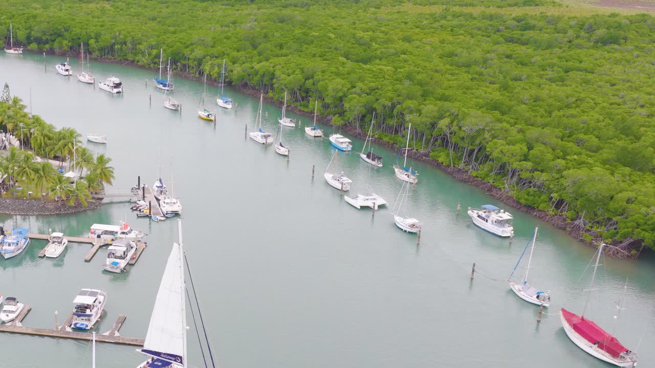 Aerial footage captures yachts docked in a serene marina surrounded by lush greenery under soft daylight