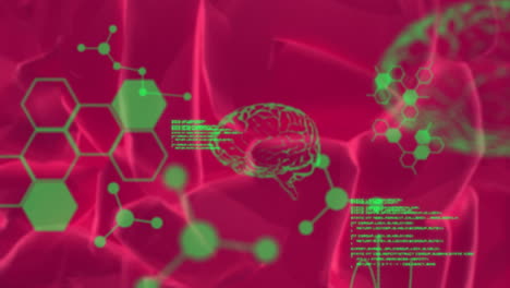 animación de fórmulas químicas y procesamiento de datos sobre el cerebro y las venas rotativas