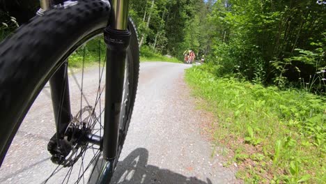 gopro view of a mountain bike wheel during an excursion through the swiss woods, sport activity