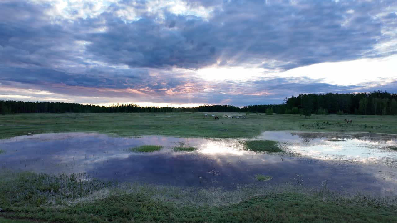 una puesta de sol impresionante arroja un resplandor dorado sobre un pequeño estanque en el bosque