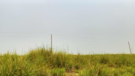 Low-angle-rural-power-line-under-a-grey-sky,-sideways-shot,-green-grass