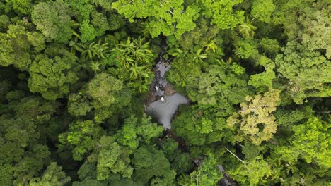 Abstieg-Zu-Einem-Geheimen-Natürlichen-Wasserloch,-Das-Tief-In-Einem-üppigen-Tropischen-Regenwald-Versteckt-Ist