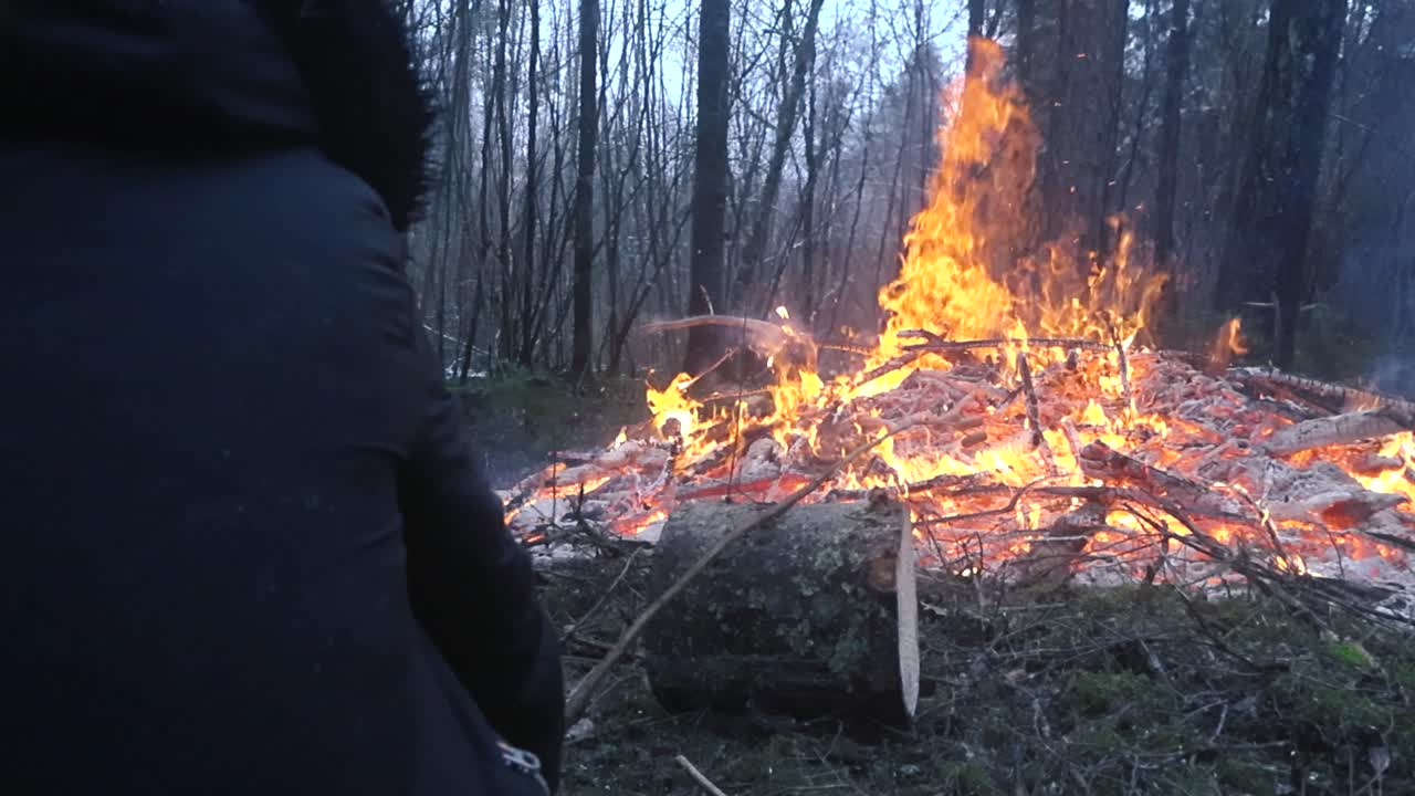 Person with black coat grilling a sausage or a hot dog on a wooden stick on top of a fire or a vibrant orange bonfire in a forest during winter or autumn time day. The stick stands on a cut wood log.