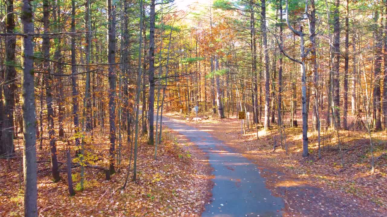 Forest pathway on a beautiful autumn day with fall colors and leaves on the forest floor through the canopy of the forest