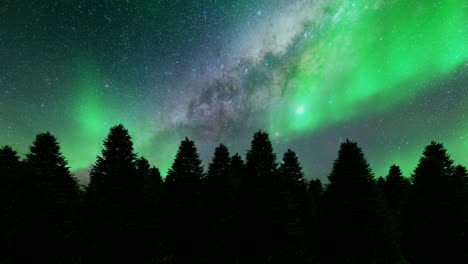 night pine trees northern lights winter landscape green trees 4k