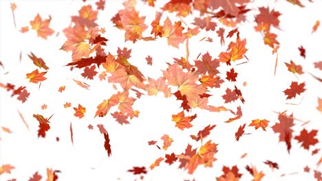 dreamy leaves swilling and falling in the wind