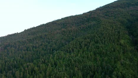 Unberührte-Wildnis-Am-Hang-Des-Mount-Sumbing