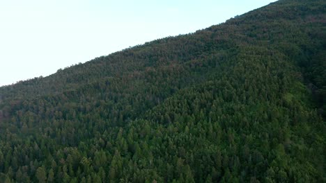 untouched wilderness on slope of mount sumbing